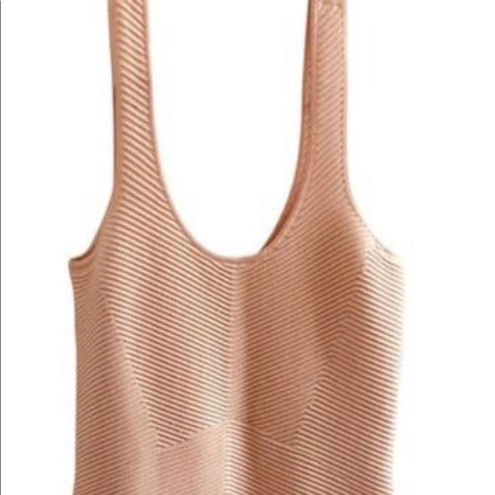 Torn by Ronny Kobo Fitted Dress